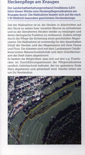 Artikel im Kocherburgboten vom 29.1.2026